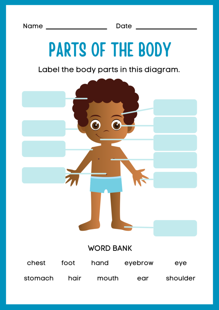 Body parts name worksheet