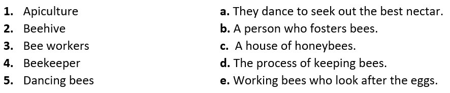 Class 4 evs chapter 5 question answer