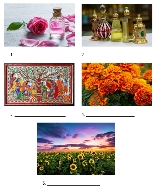 The Valley of Flowers class 4 evs worksheet YourExamInfo