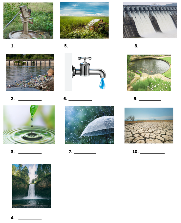 Too Much Water Too Little Water class 4 evs worksheet