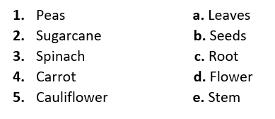 Class 4 evs chapter 19 question answer