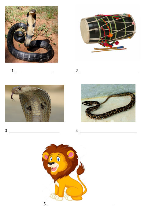 A Snake Charmer’s Story class 5 evs worksheet