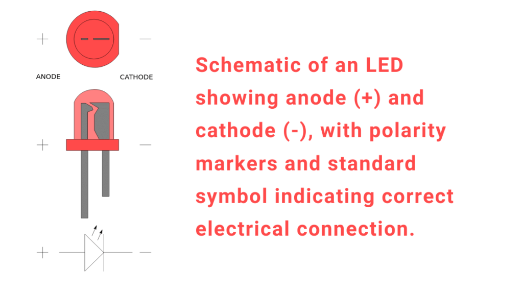 LED Full Form